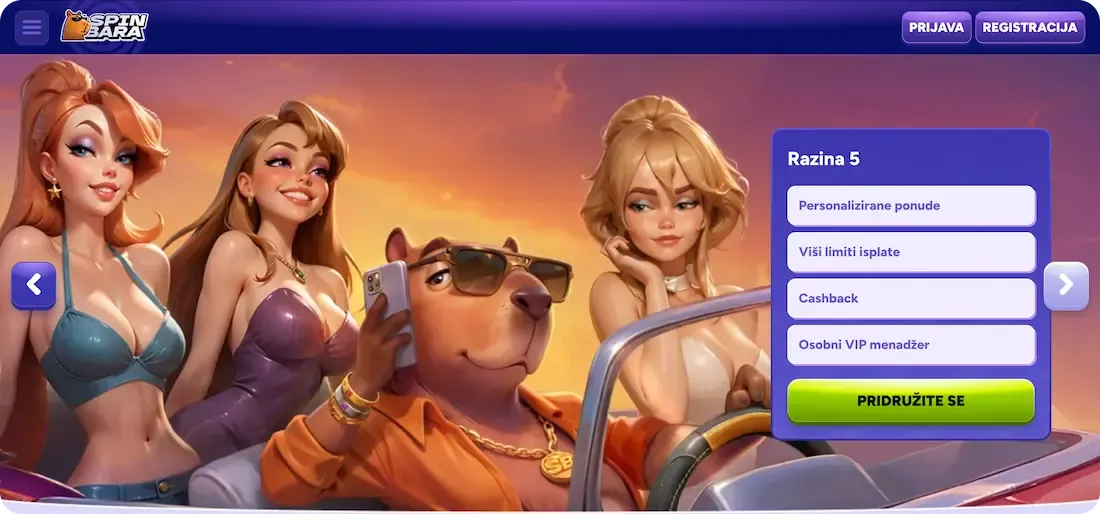 spinbara casino vip